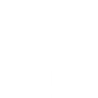 fundraising icon